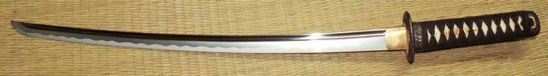 Hanwei Shinto Wakizashi