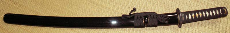 Hanwei Shinto Wakizashi