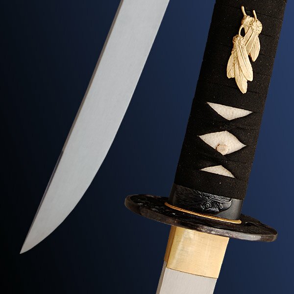 Miecz Hanwei Raptor Wakizashi