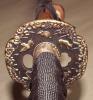 Ryumon Hand Forged Samurai Katana