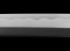Dynasty Forge 29`` Bushi 1095 Katana in Cherry Blossom Theme