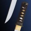 Hanwei Raptor Tanto