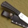 Windlass Cobra Steel Talon
